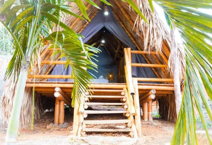 Traveler Hostel