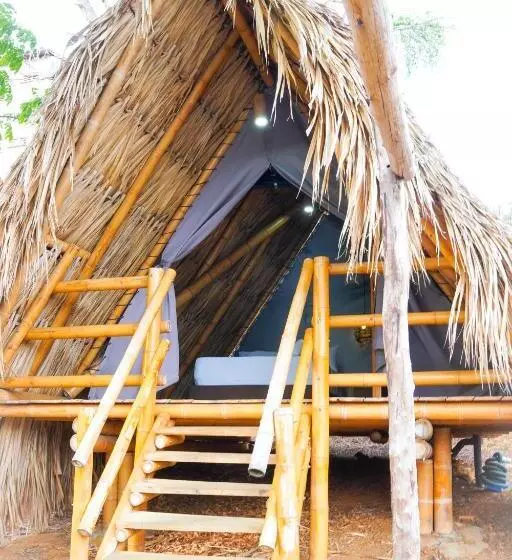 Traveler Hostel