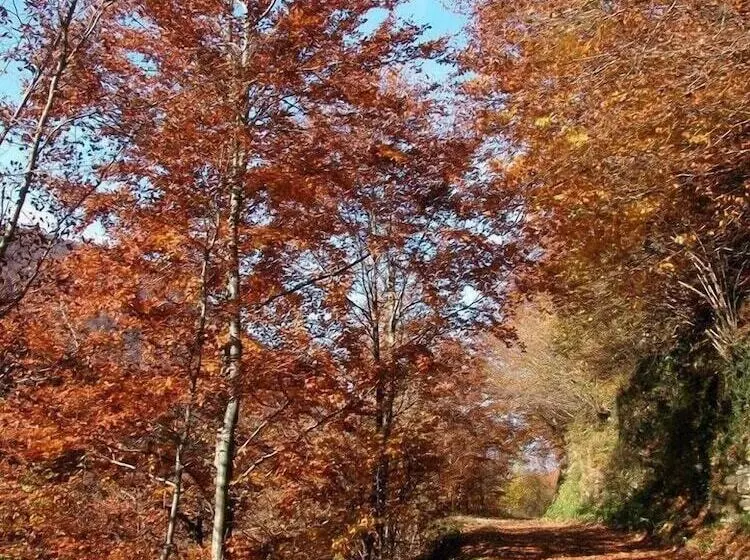 Aamiaismajoitus (B&B) Agriturismo Fattoria Ortoalpino