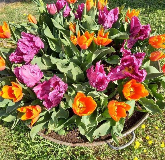 צימר Au Bellefleur