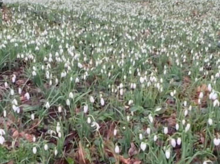 Bed and Breakfast Chambre D Hôtes Face à Briare