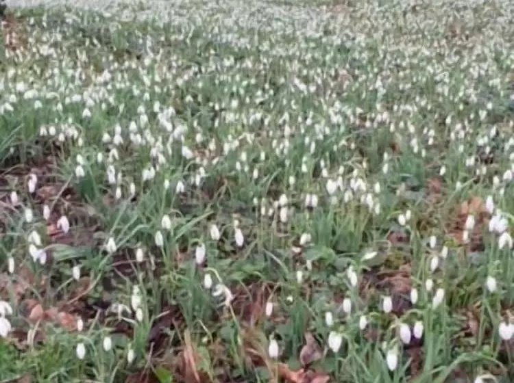 ベッドアンドブレックファースト Chambre D Hôtes Face à Briare