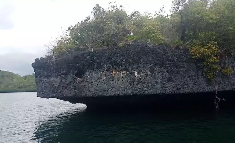 Aamiaismajoitus (B&B) Hoga Island Dive Resort Wakatobi