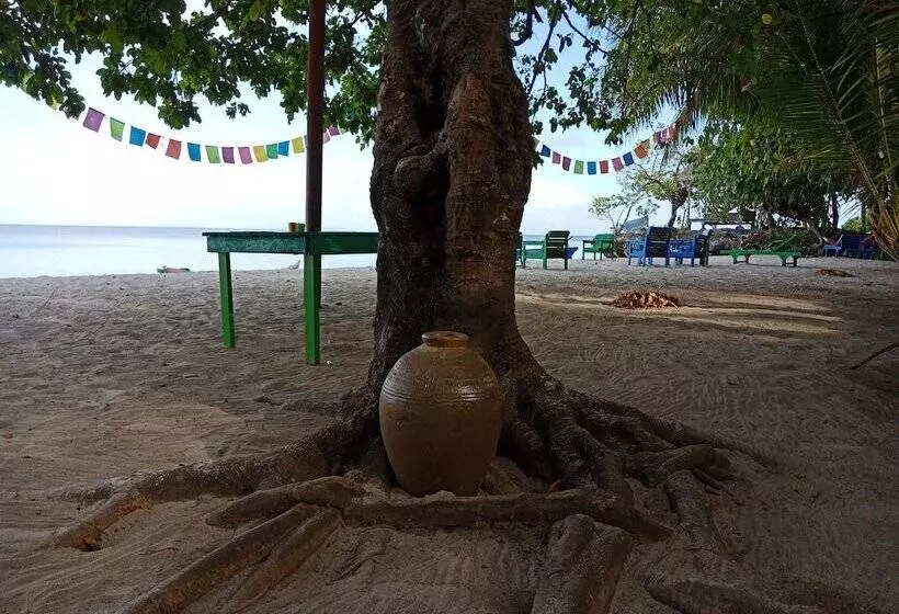 Aamiaismajoitus (B&B) Hoga Island Dive Resort Wakatobi