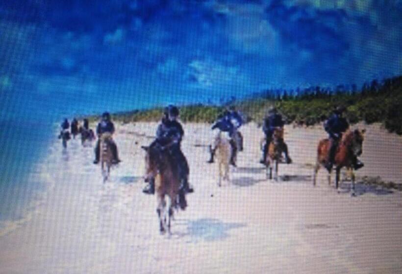 مبيت وإفطار Le Moulin Des Roses