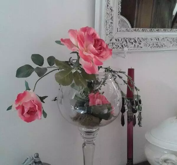 Aamiaismajoitus (B&B) Le Moulin Des Roses