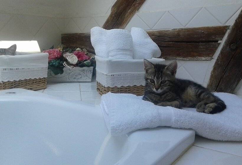 مبيت وإفطار Le Moulin Des Roses