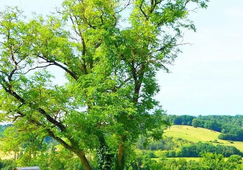 Gite La Belle Verte