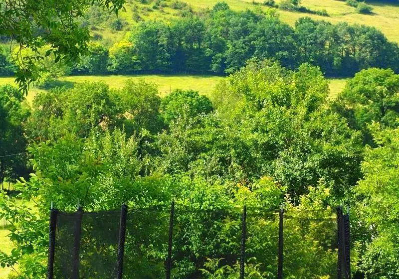 Gite La Belle Verte