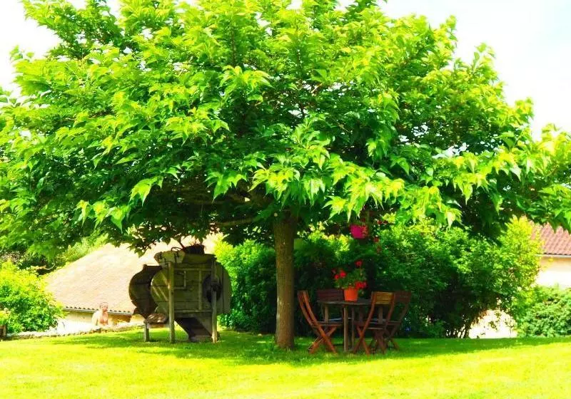 Gite La Belle Verte