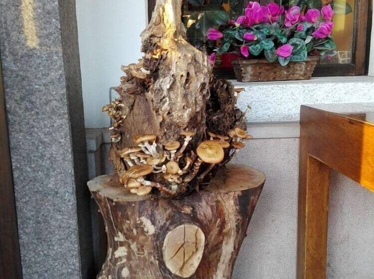 酒店 Al Cavallino Rosso