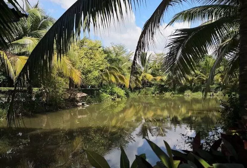 ホテル Piamsook Resort
