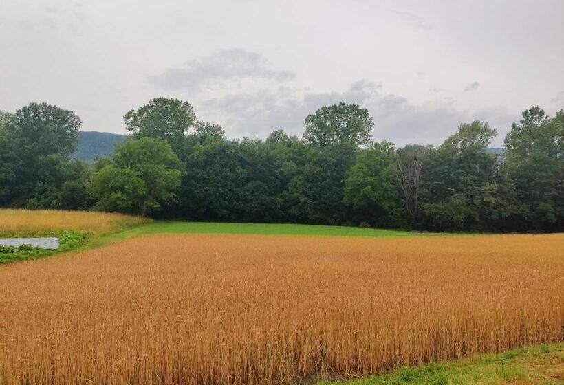 田舎風ホテル Agriturismo Munarin Caterina