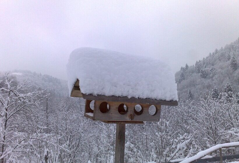 乡村酒店  Le Fratte