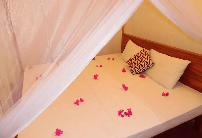 Hotelli Sea Breeze Inn Talalla