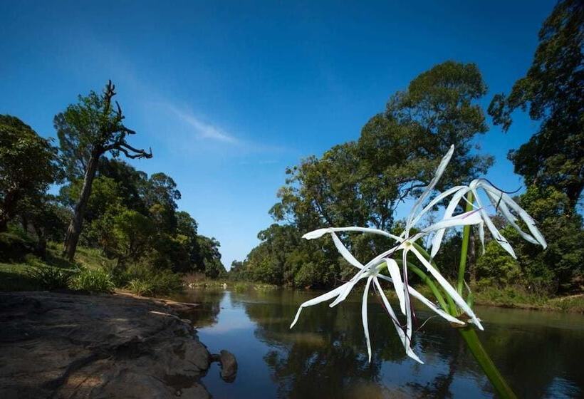 Hotell Sixth Element