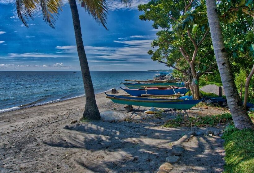 Mahi Mahi Dive Resort