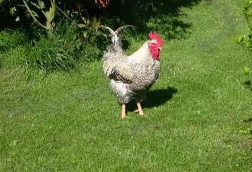 ペンション Chez Beaumont