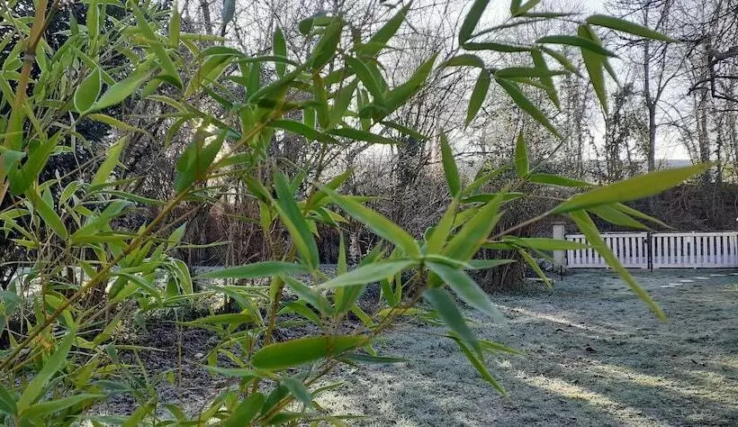 Majatalo Domaine Pastel