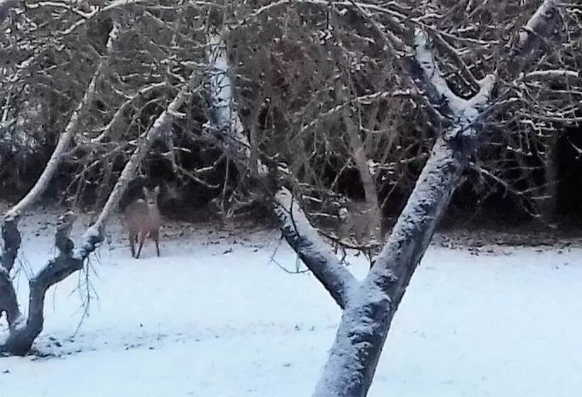 Majatalo Domaine Pastel