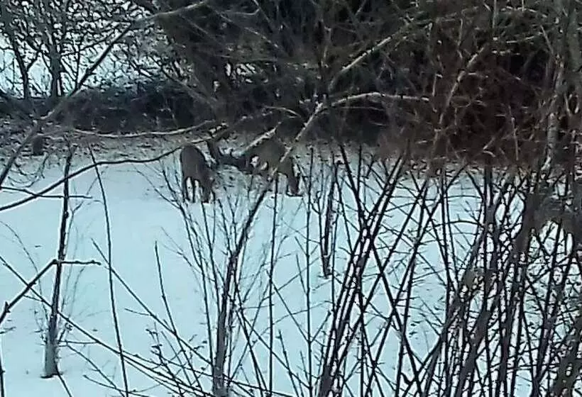 Majatalo Domaine Pastel