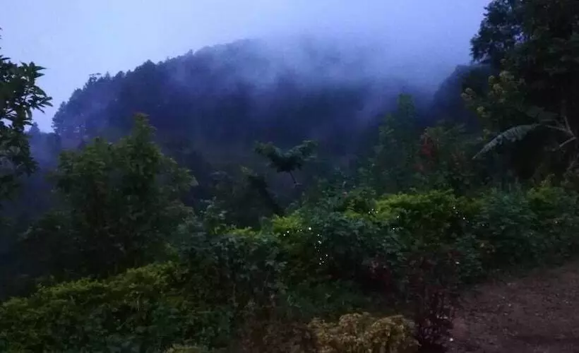 ペンション Ella Summer Lesser