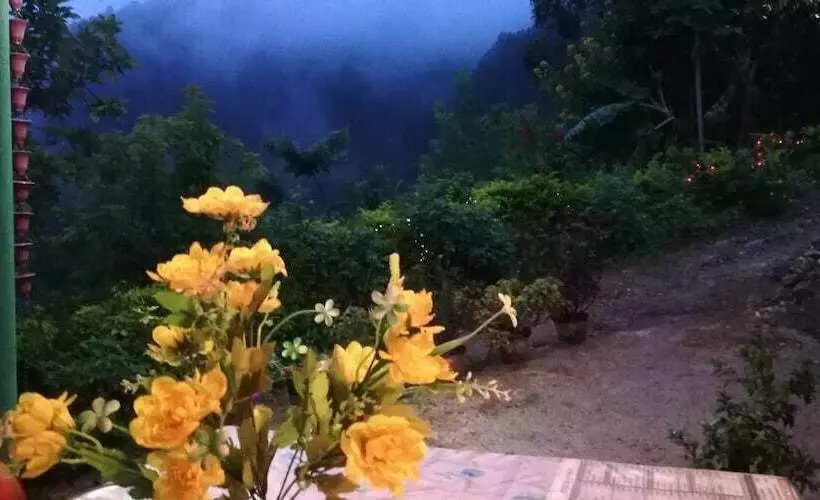 ペンション Ella Summer Lesser