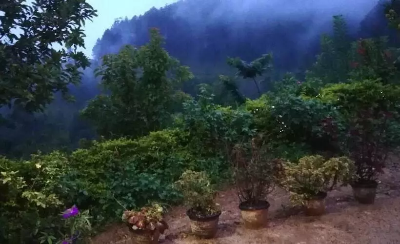 ペンション Ella Summer Lesser