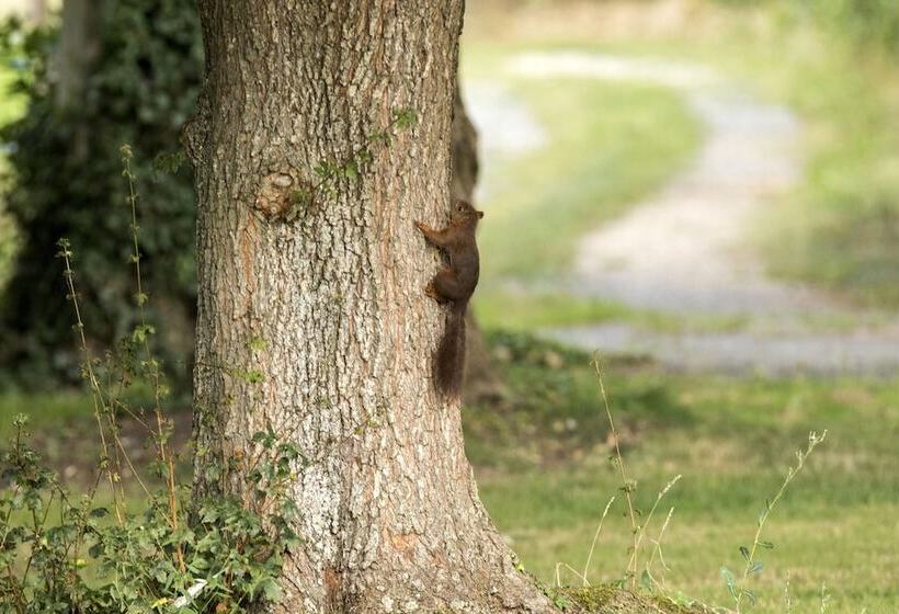פנסיון La Planche Pinçon