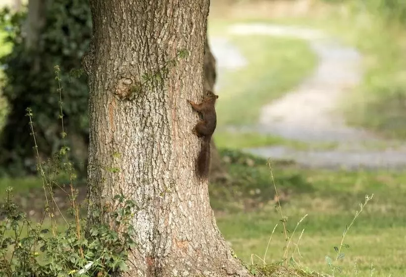 Majatalo La Planche Pinçon
