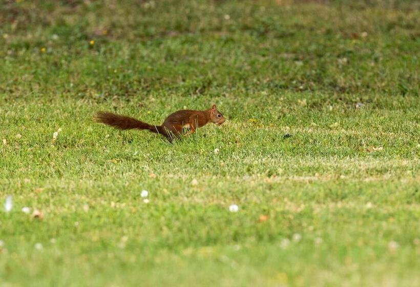 פנסיון La Planche Pinçon
