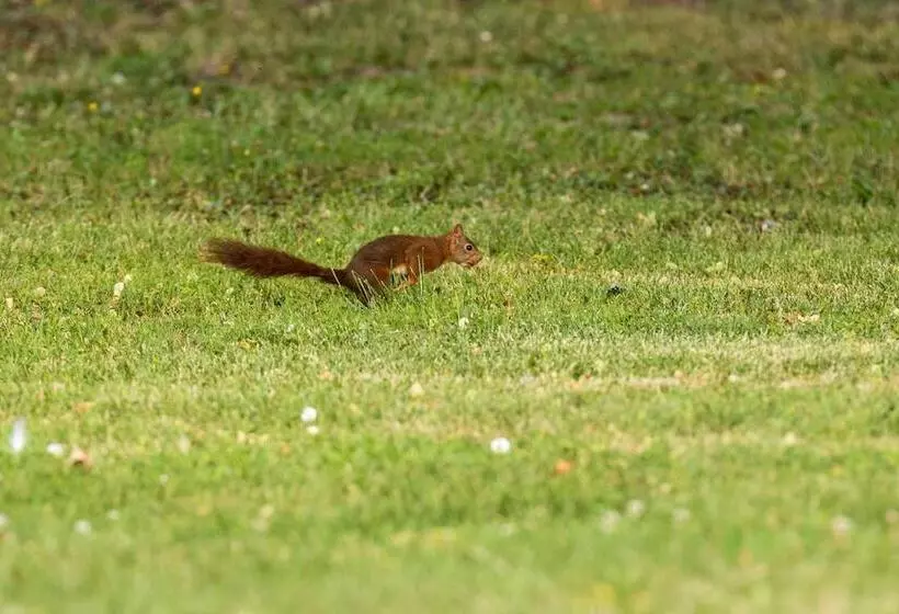 Majatalo La Planche Pinçon