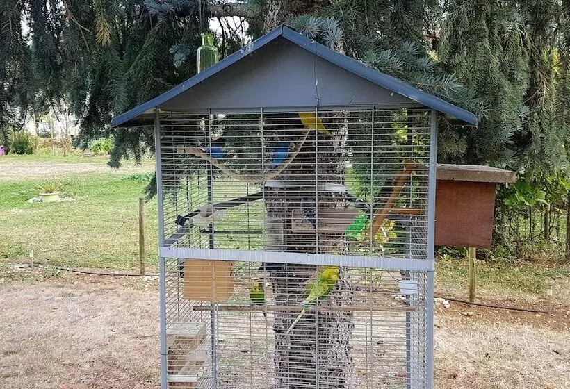 ペンション Le Clos De La Vigne