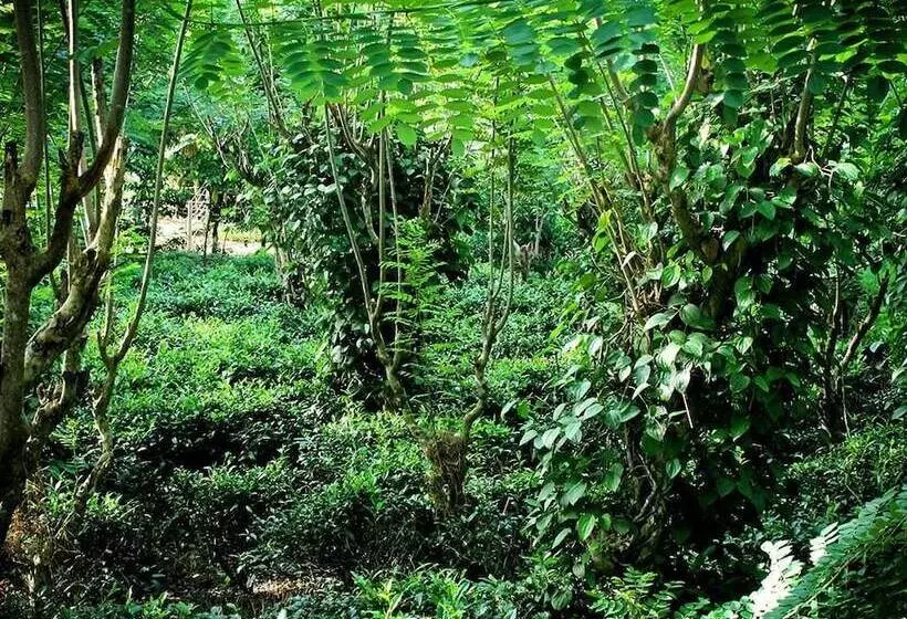 Majatalo Maygrove View Villa