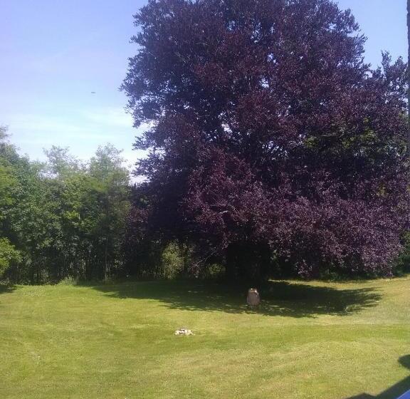 ペンション Pierre Deluen Domaine De La Grange De Quaire