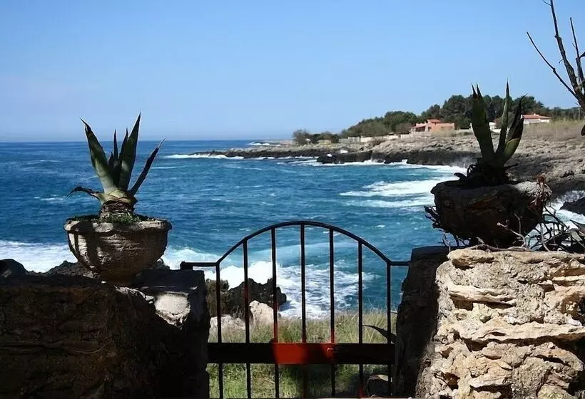 Villa Elisa B&b