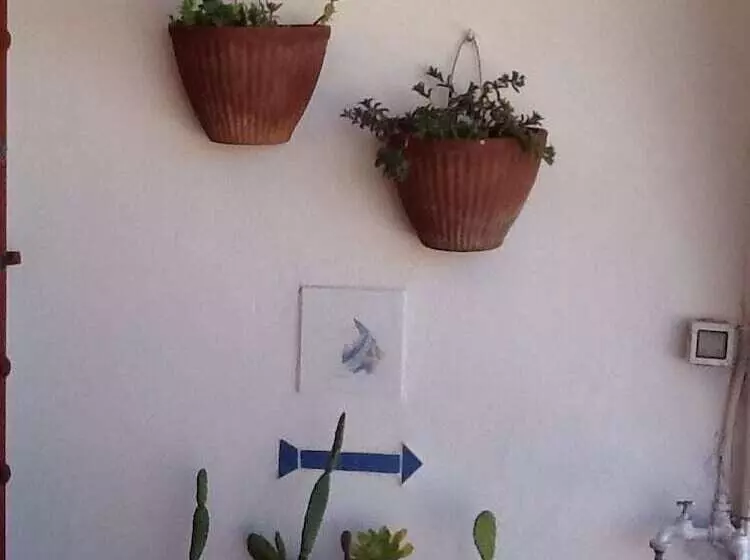 Villa Elisa B&b