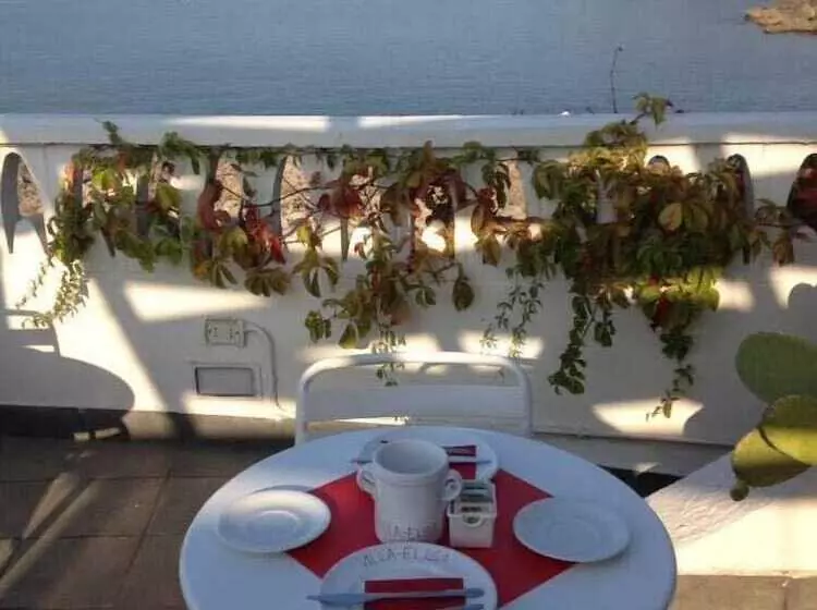Villa Elisa B&b