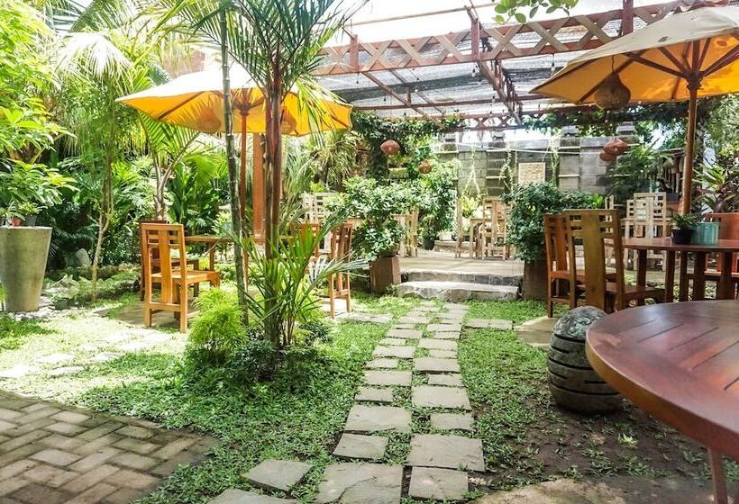 Nocleg ze śniadaniem Wisma Pulau Merah