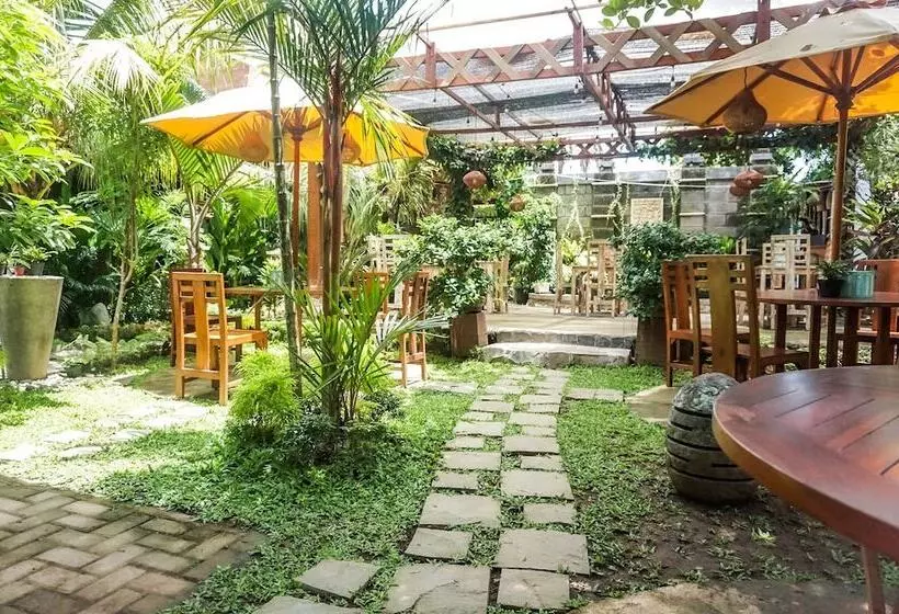 Aamiaismajoitus (B&B) Wisma Pulau Merah