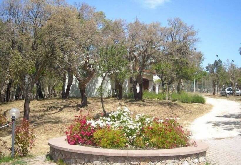 فندق فئة نجمة واحدة Monte Pirastru