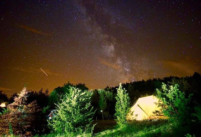 בית מלון כפרי Camping Des Vignes