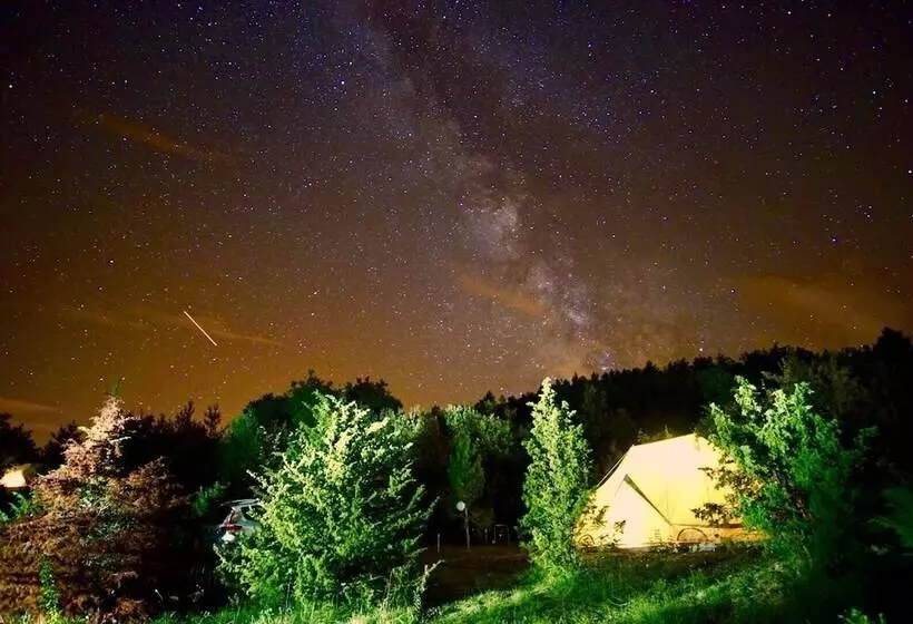 ホテル Camping Des Vignes