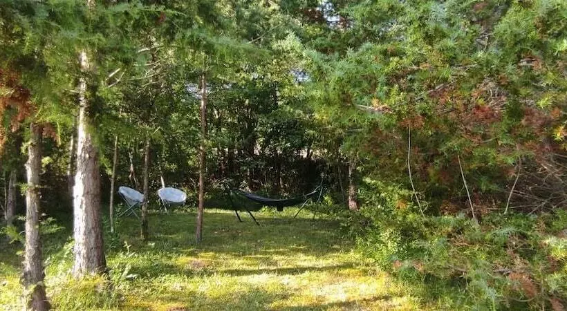 ホテル Camping Des Vignes