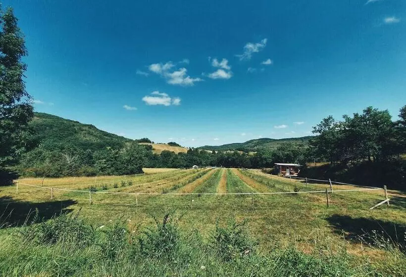 ホテル Camping Des Vignes
