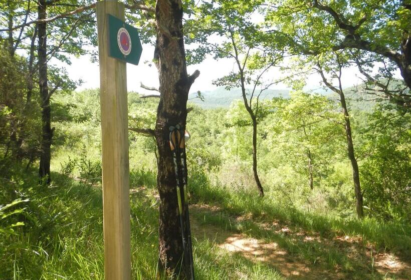 בית מלון כפרי Camping Des Vignes