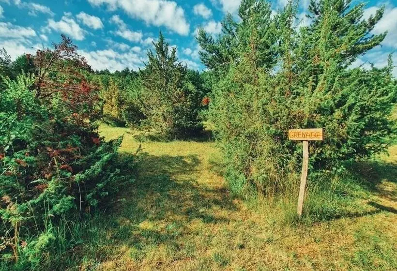 ホテル Camping Des Vignes