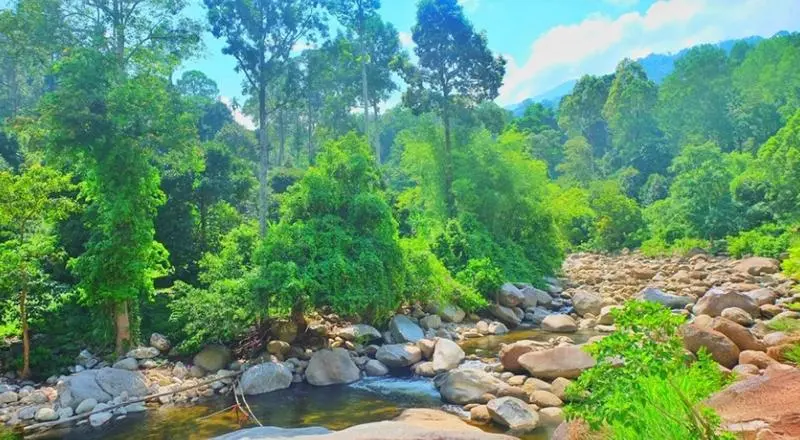 ホテル Pattama Resorts Khiri Wong