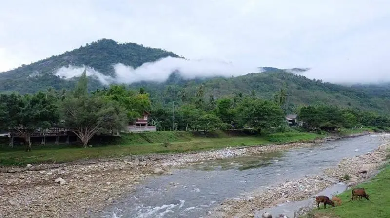 ホテル Pattama Resorts Khiri Wong