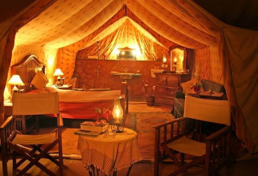 酒店 Reggie S Camel Camps